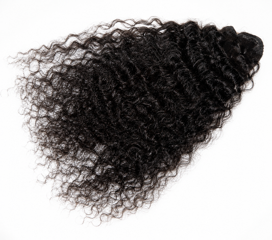 Burmese Curly